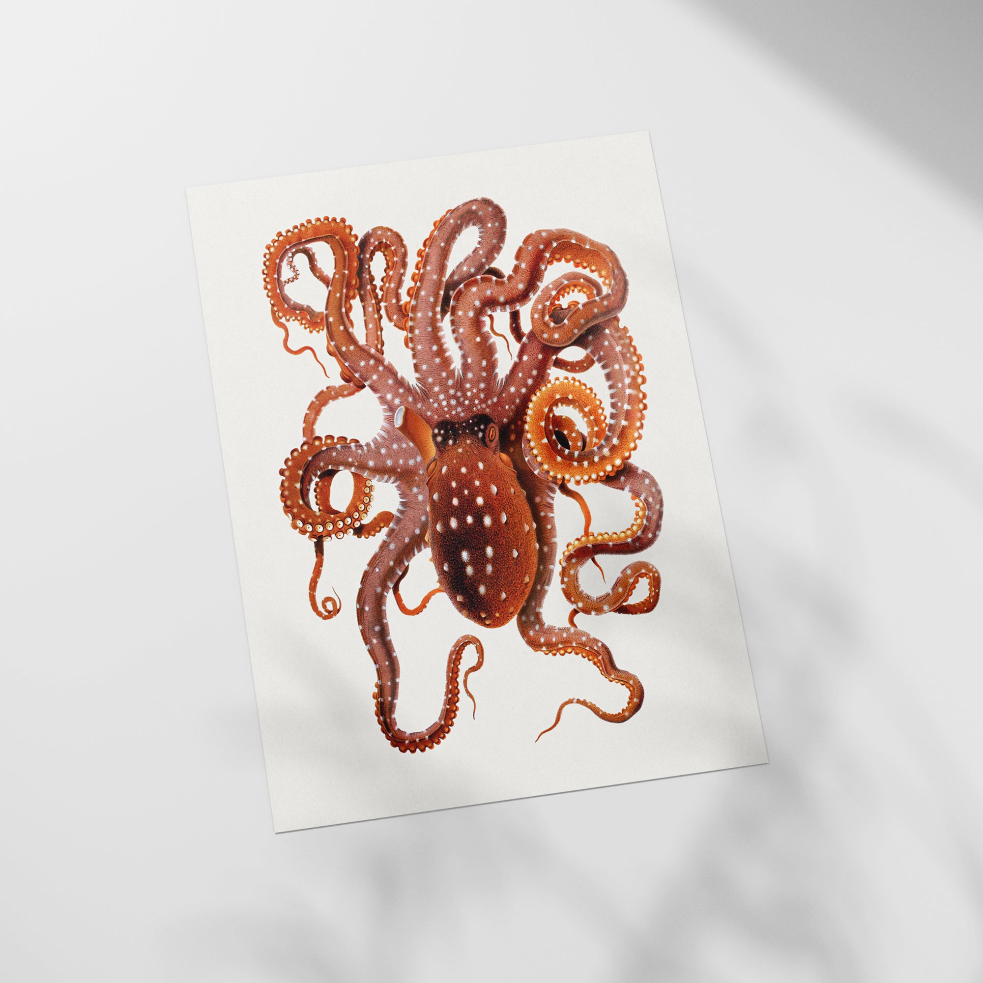a picture of an octopus on a piece of paper
