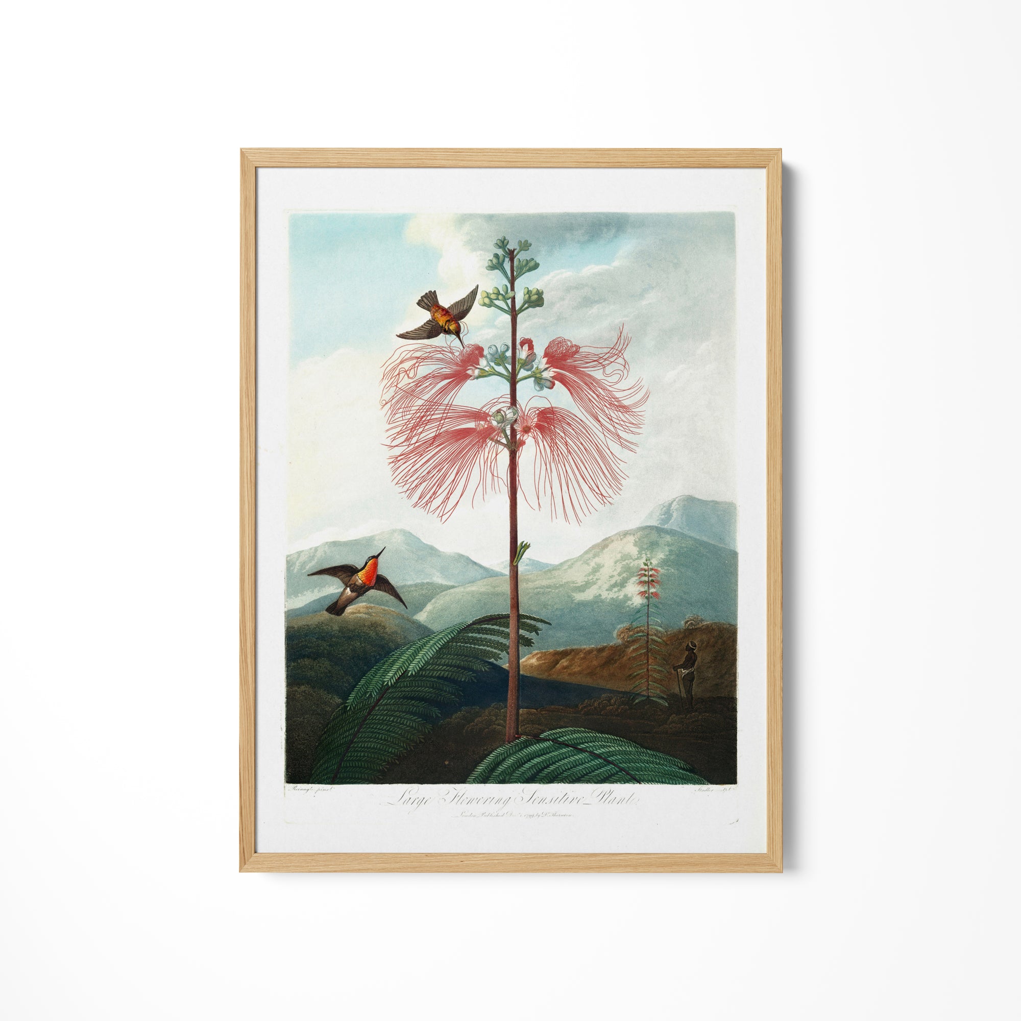 a painting of a pink flower with two birds on it