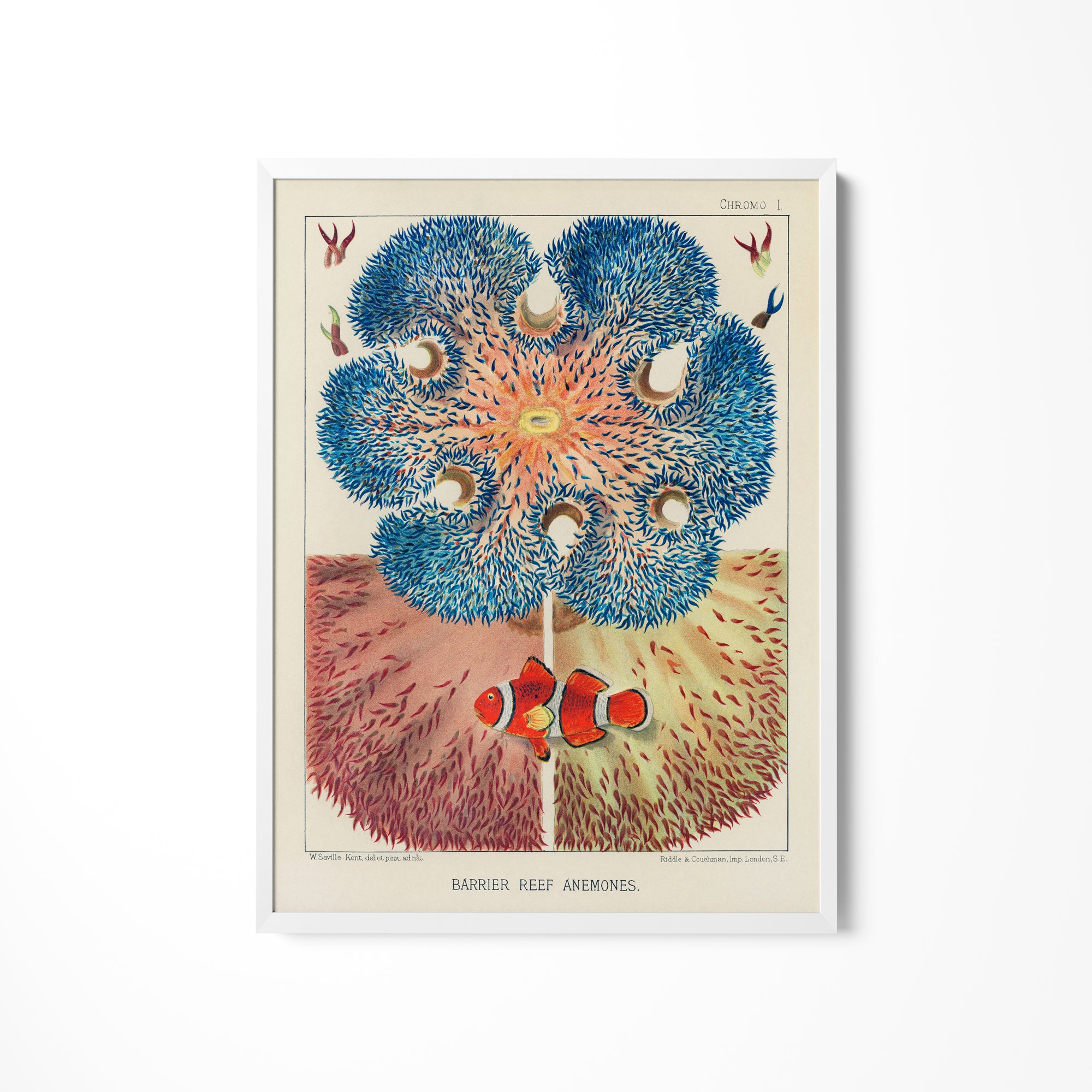 a picture of a blue flower on a white wall