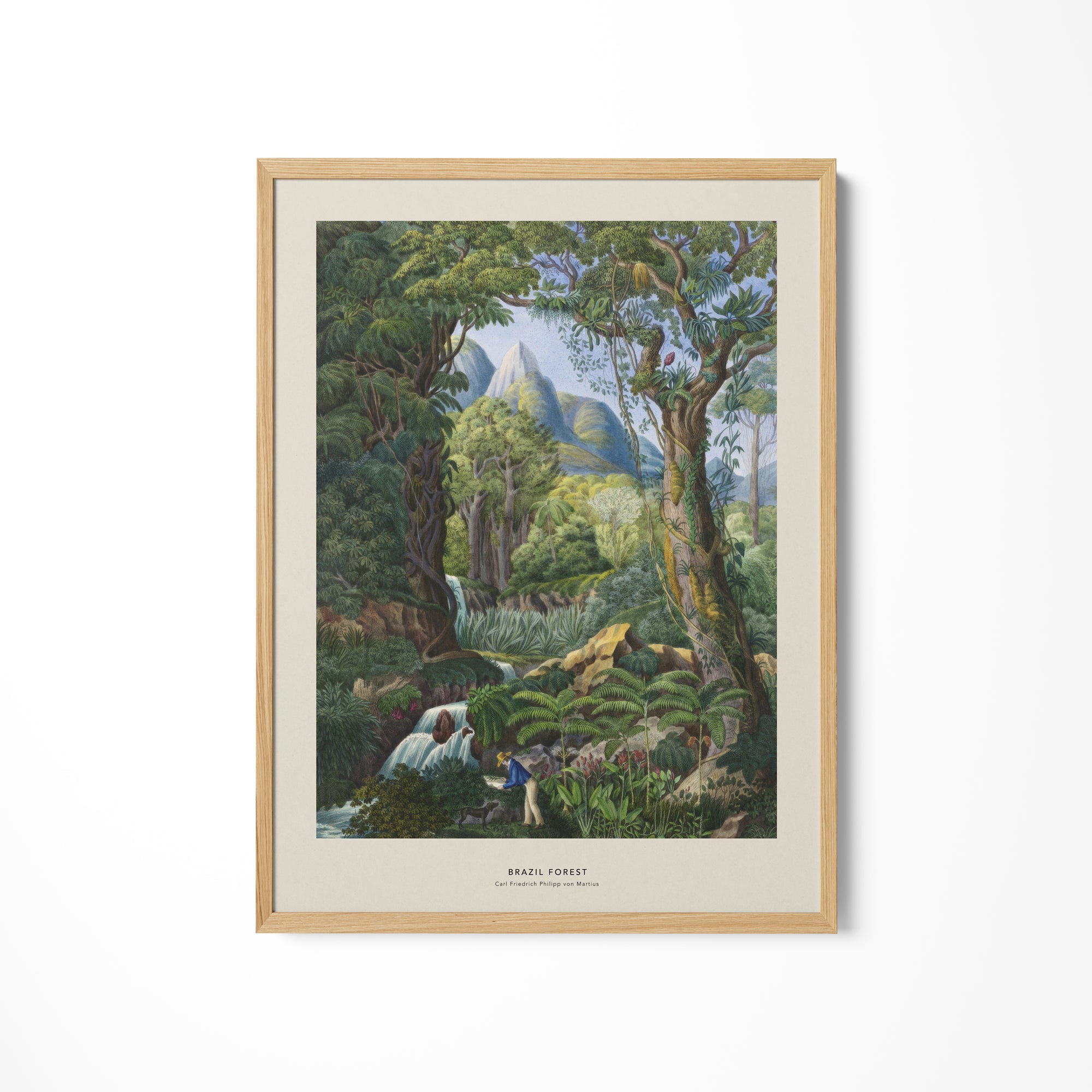 a painting hanging on a wall of a forest