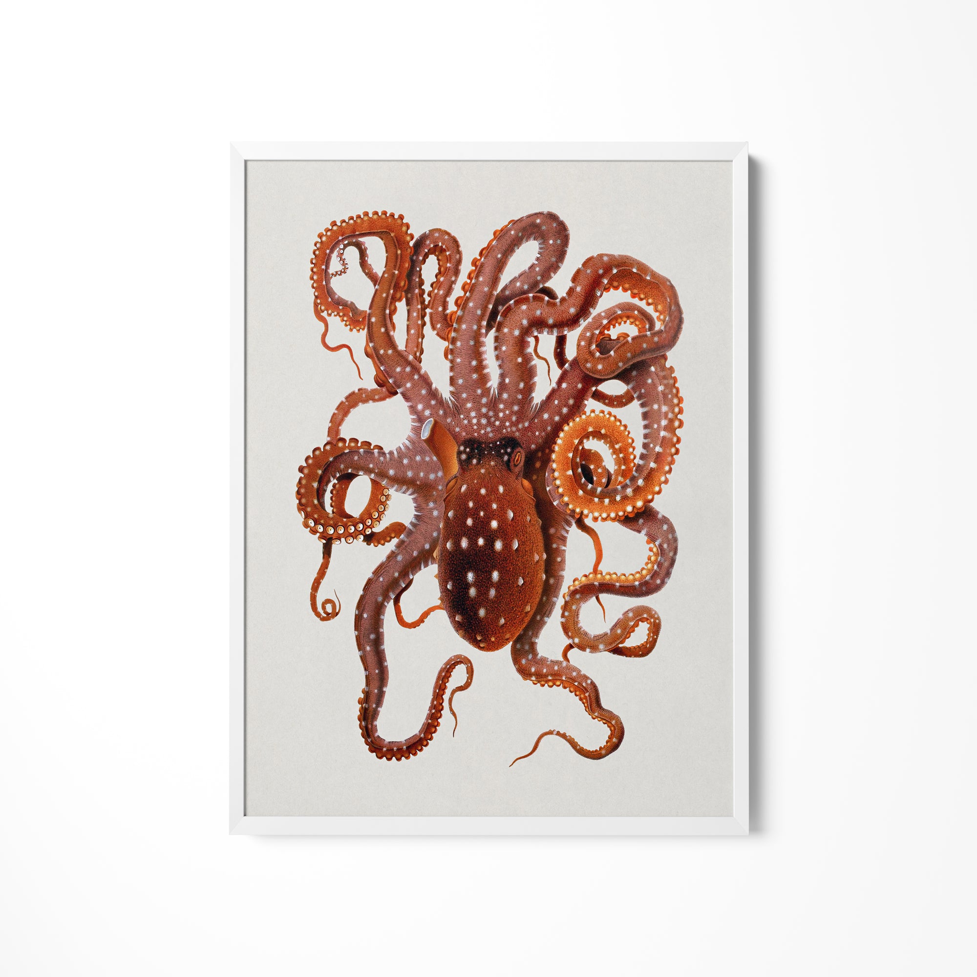 a painting of an octopus on a white wall