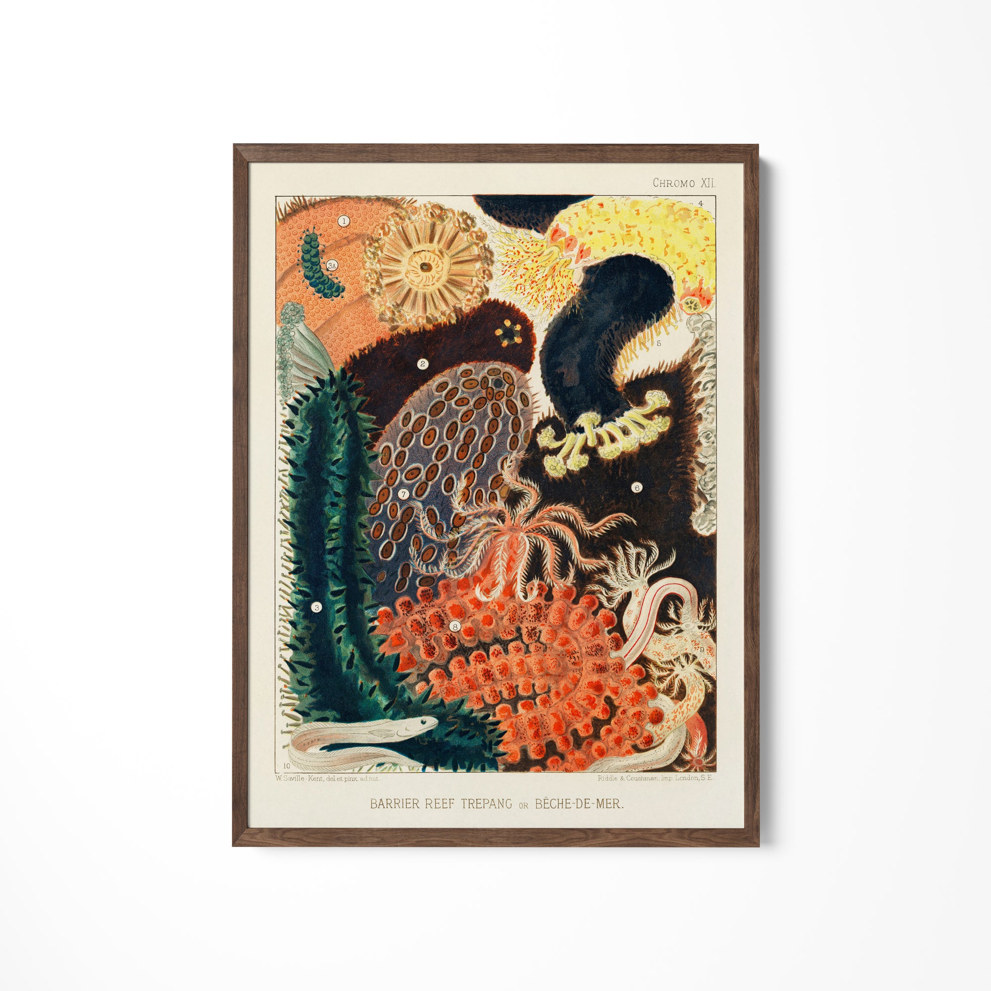 a picture of a painting on a wall