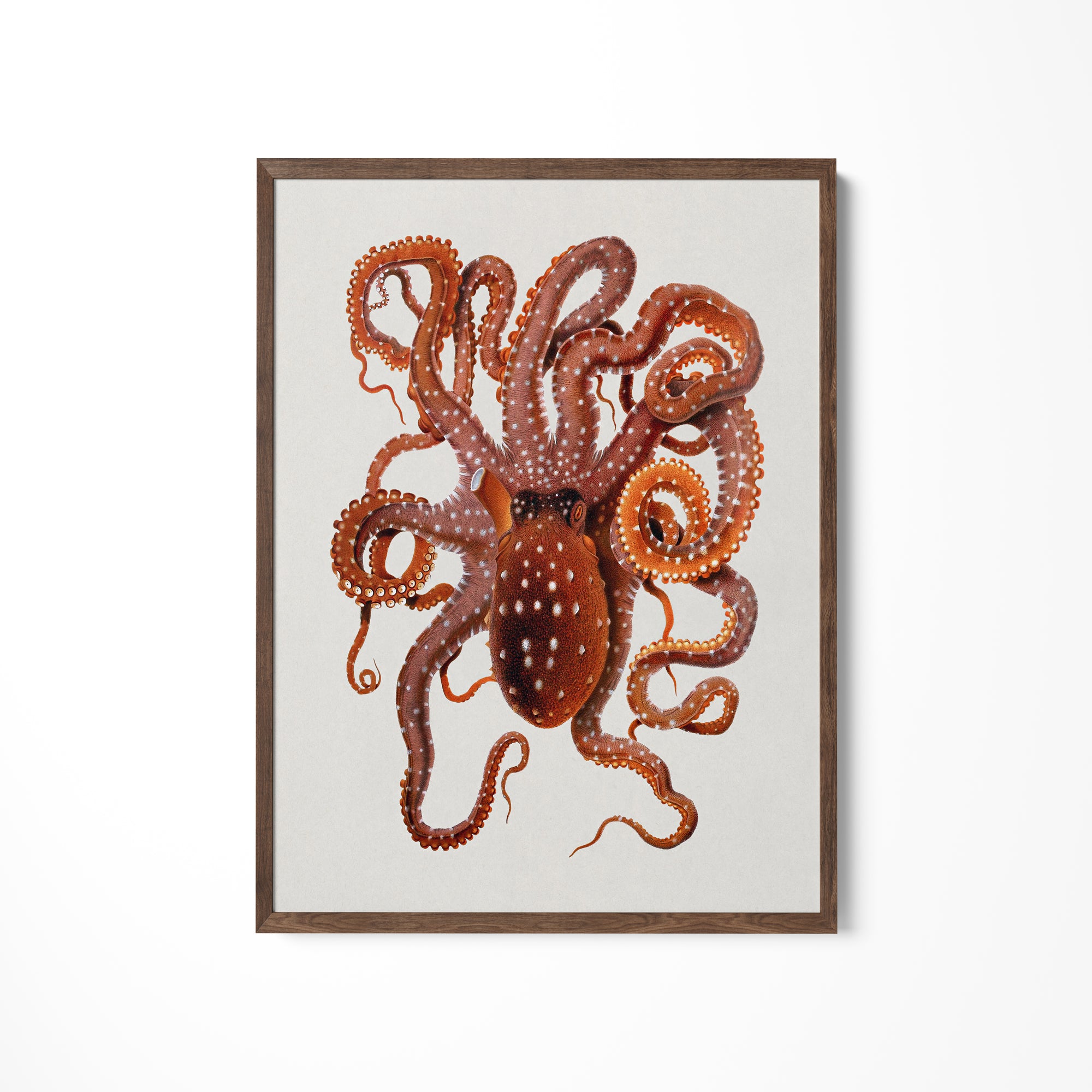a painting of an octopus on a white wall