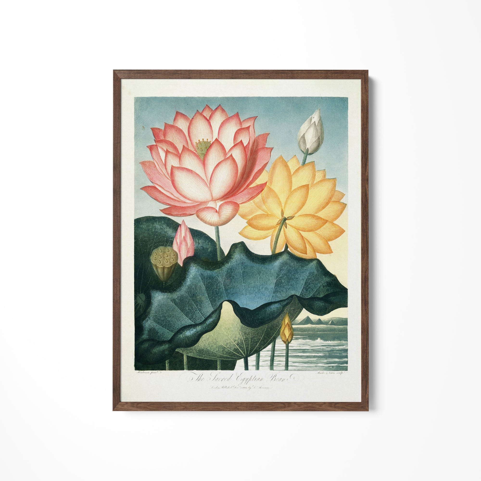a painting of water lilies on a white wall