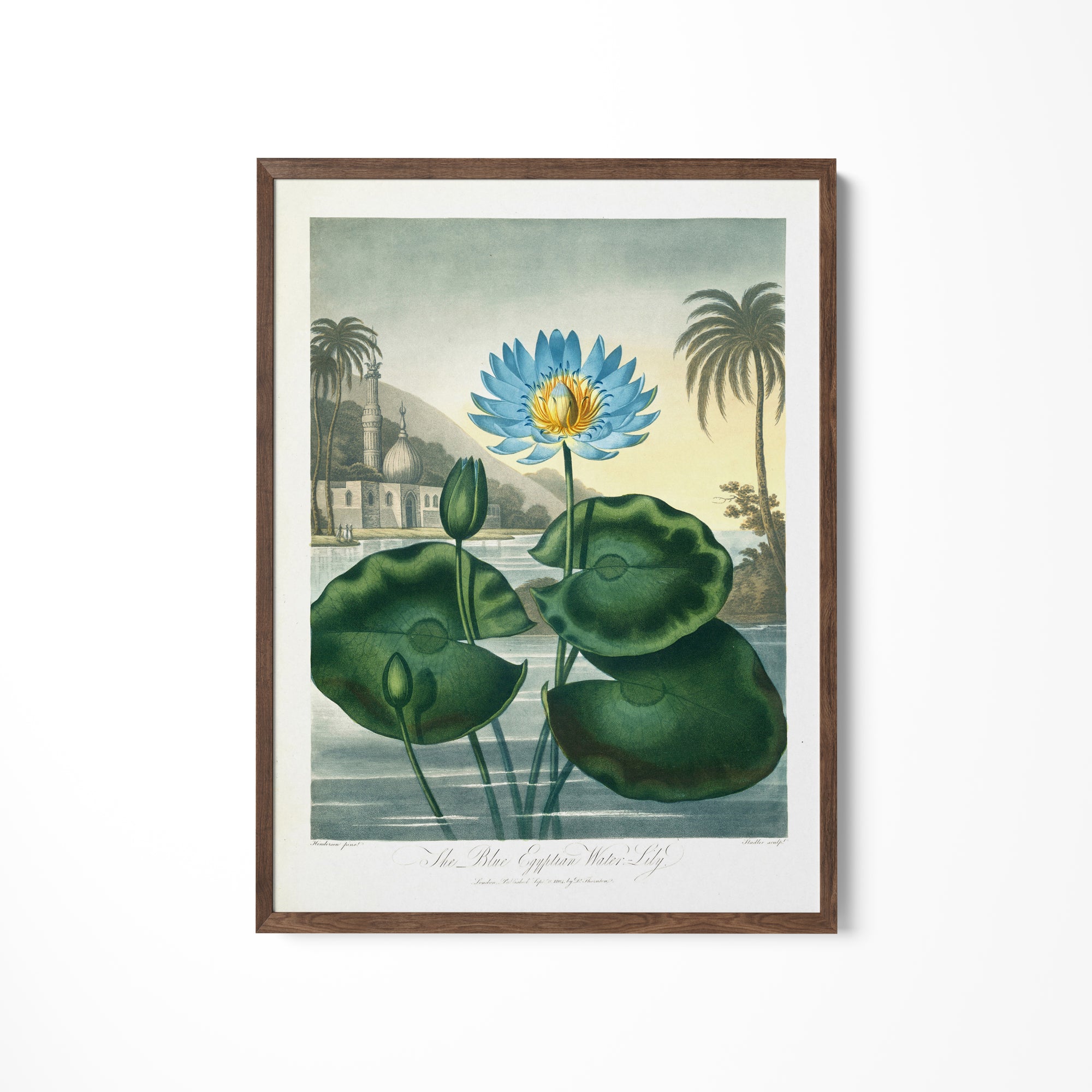 a painting of a blue flower on a white wall