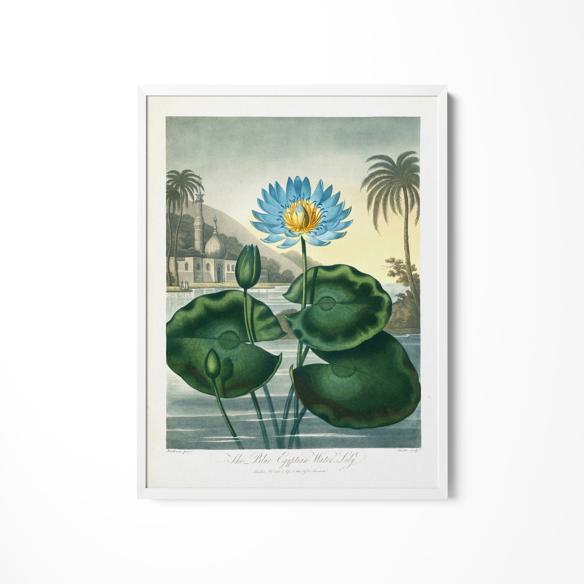 a painting of a blue flower with a yellow center