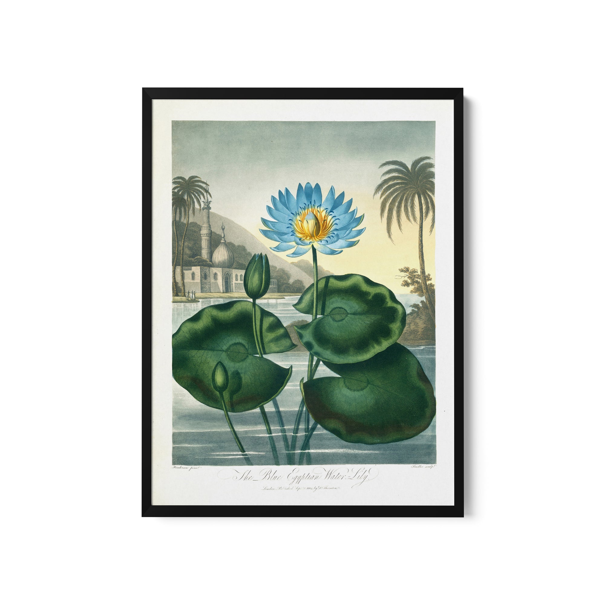 a painting of a blue flower and green leaves