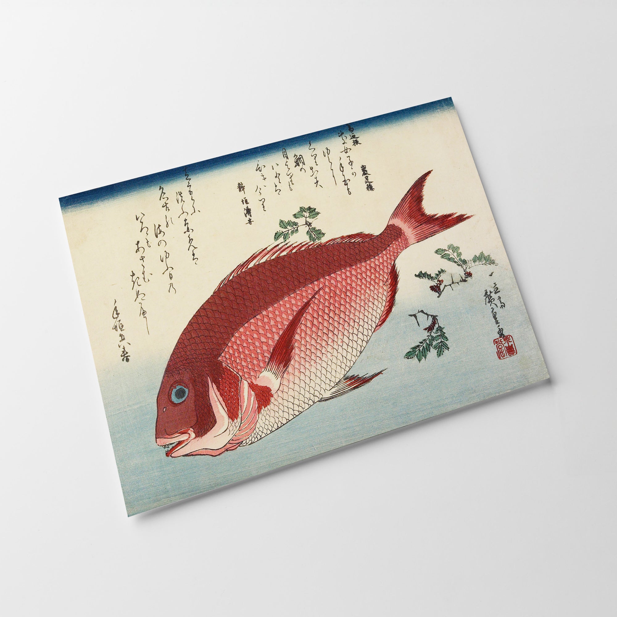 a card with a picture of a fish on it