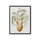 a picture of an octopus in a frame