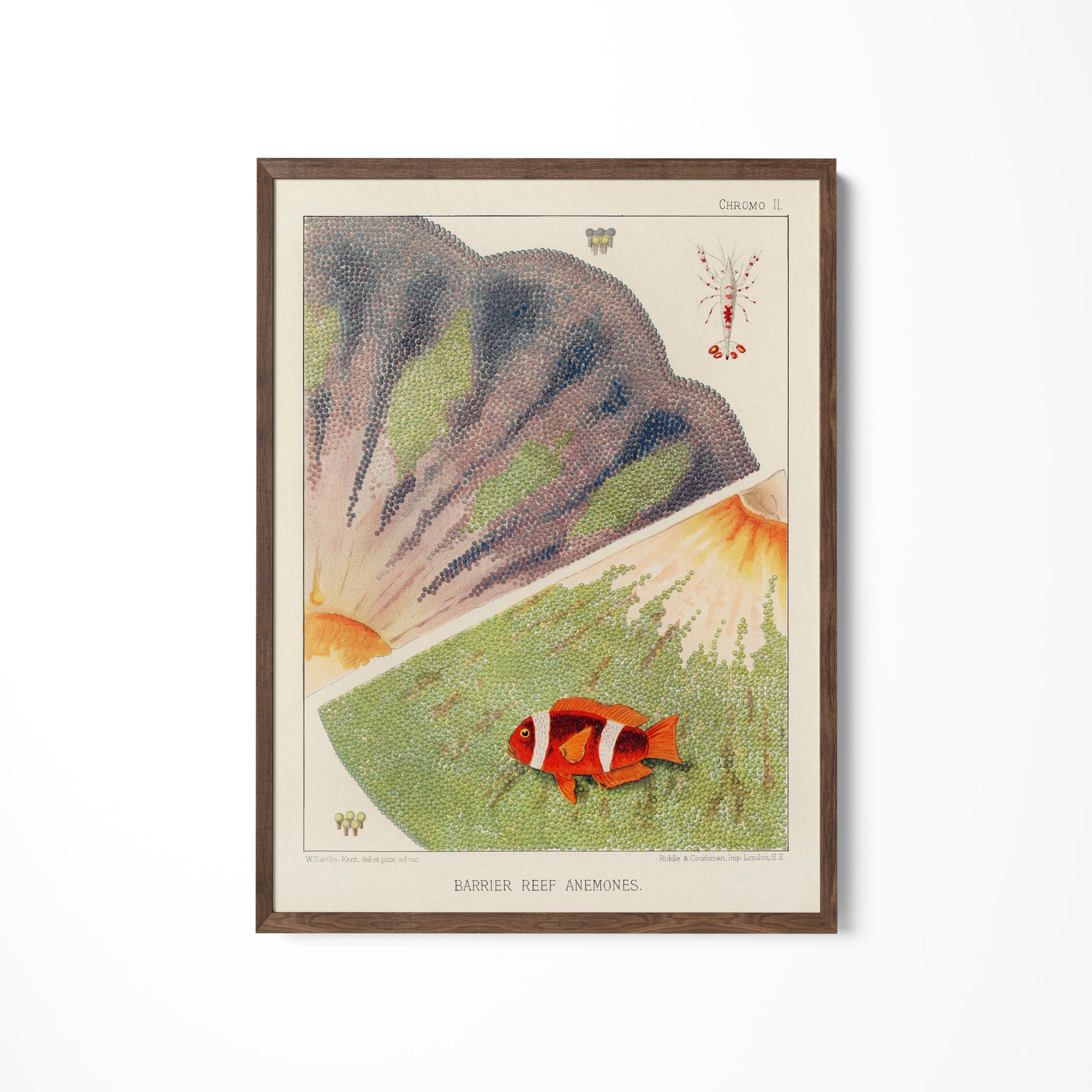 a painting of a fish on a white wall