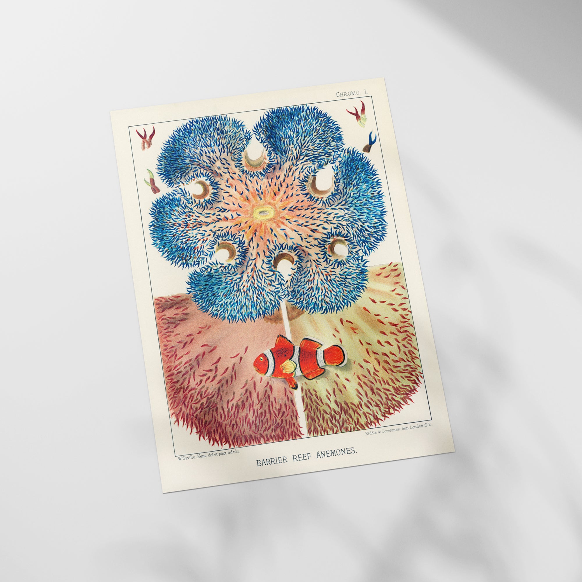 a card with a picture of a flower on it
