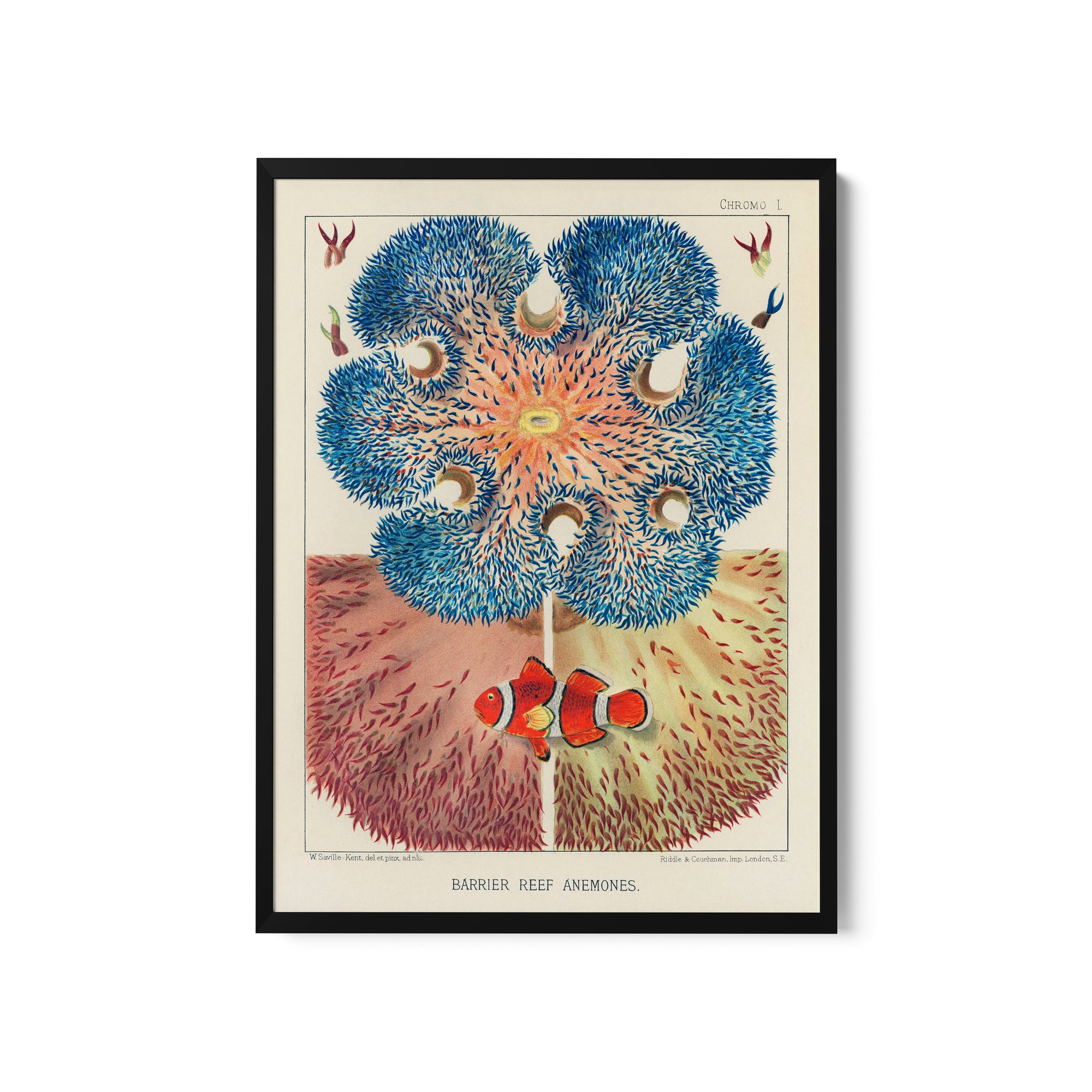 a painting of a flower with blue and orange petals