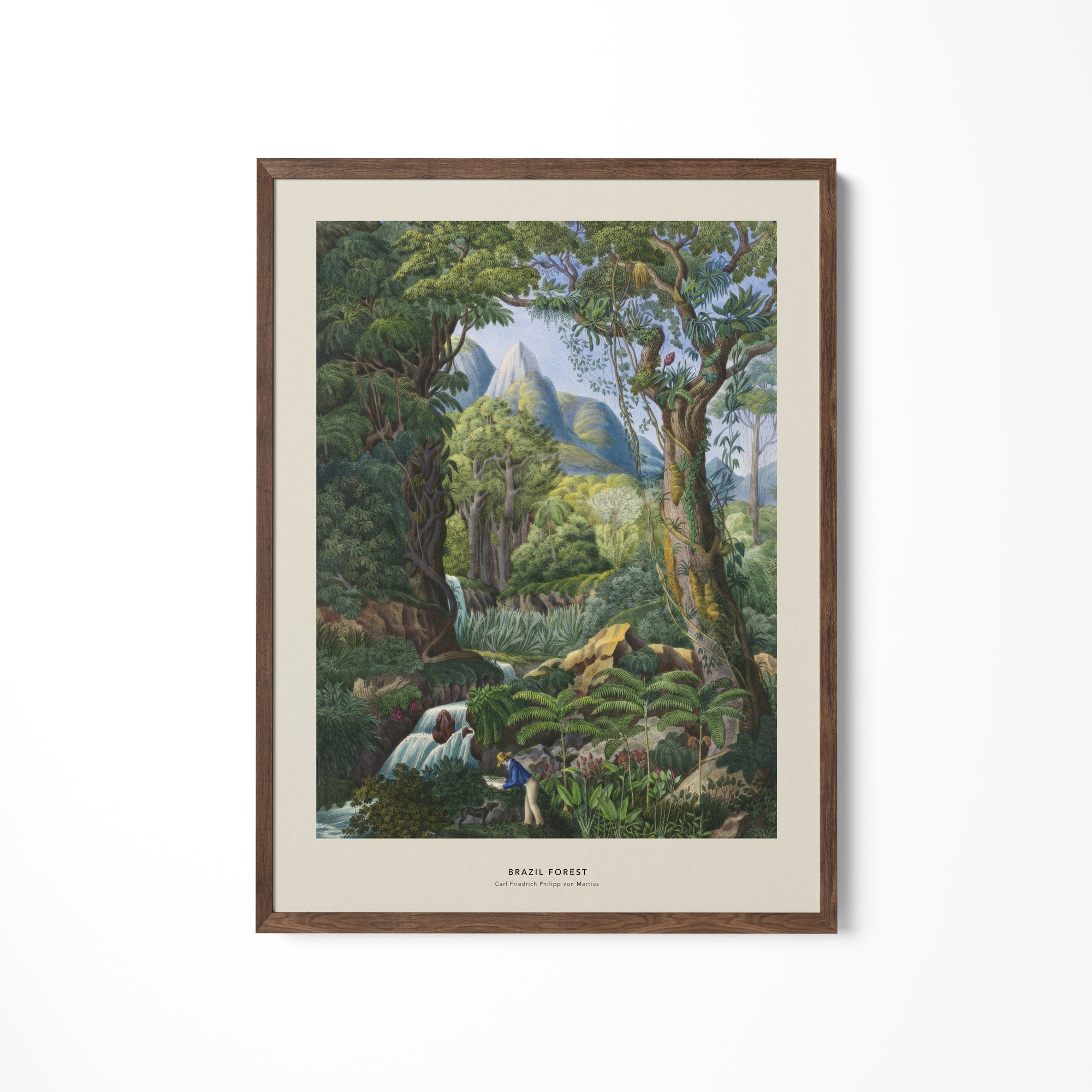 a painting hanging on a wall of a forest