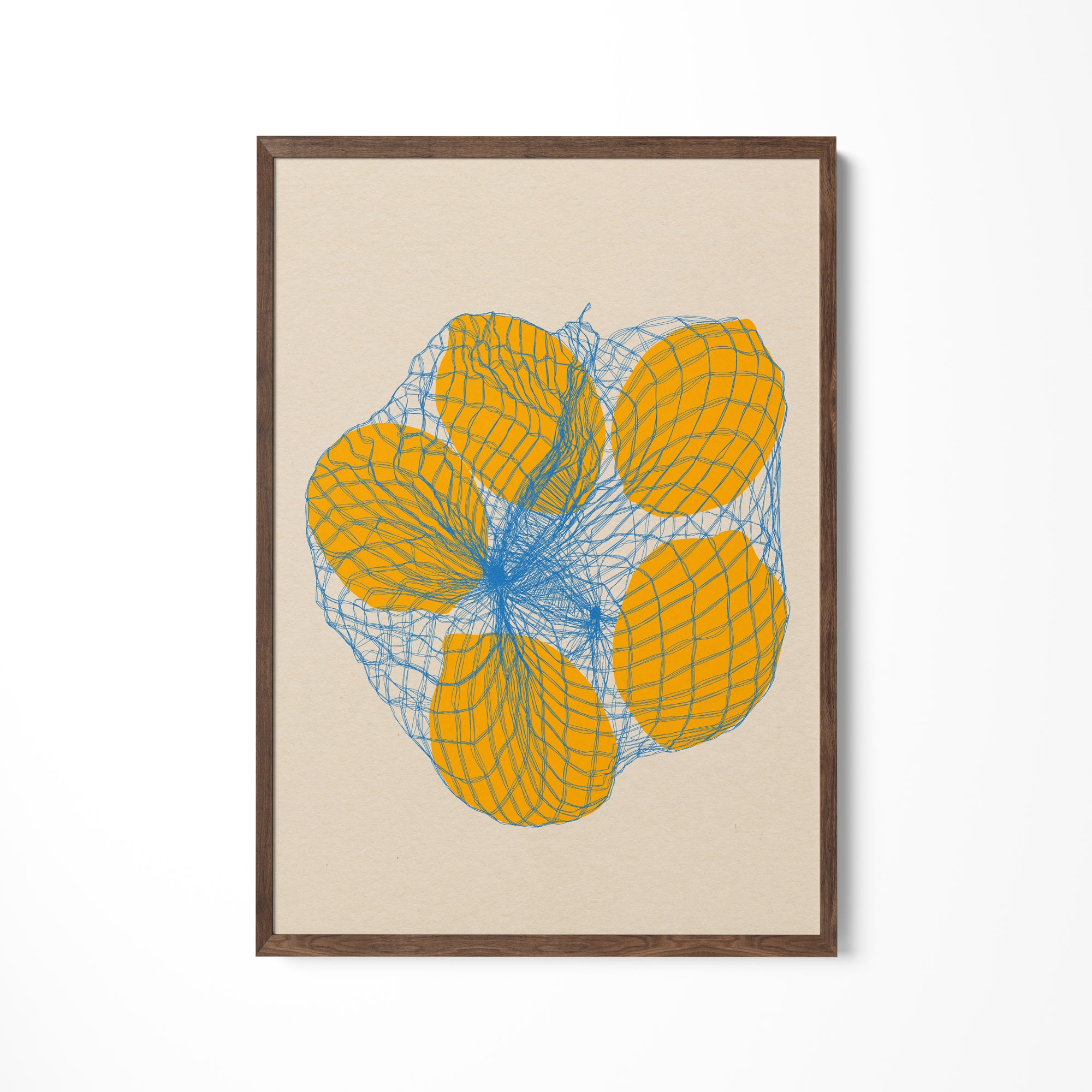 a picture of a bunch of oranges hanging on a wall