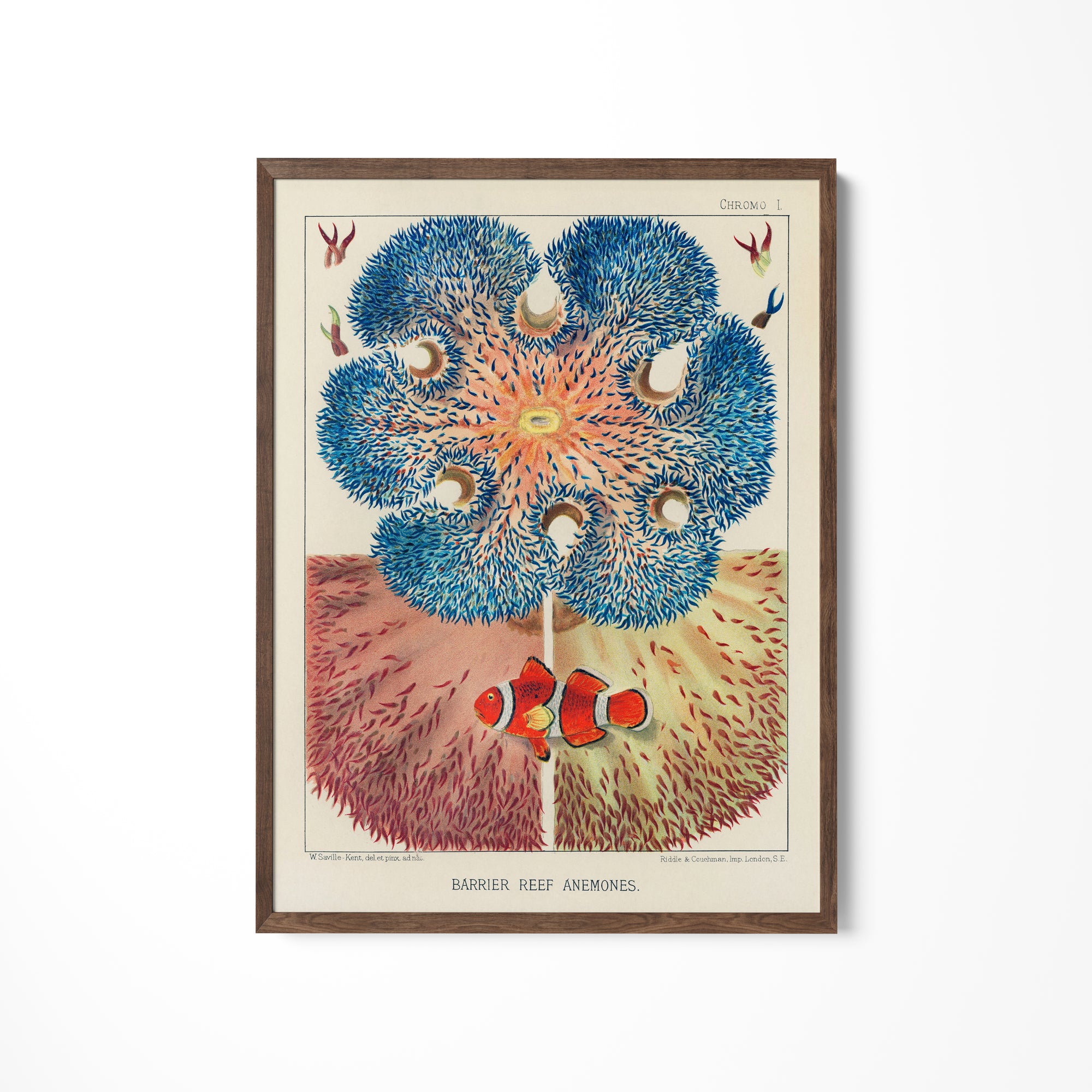 a picture of a blue flower on a white wall