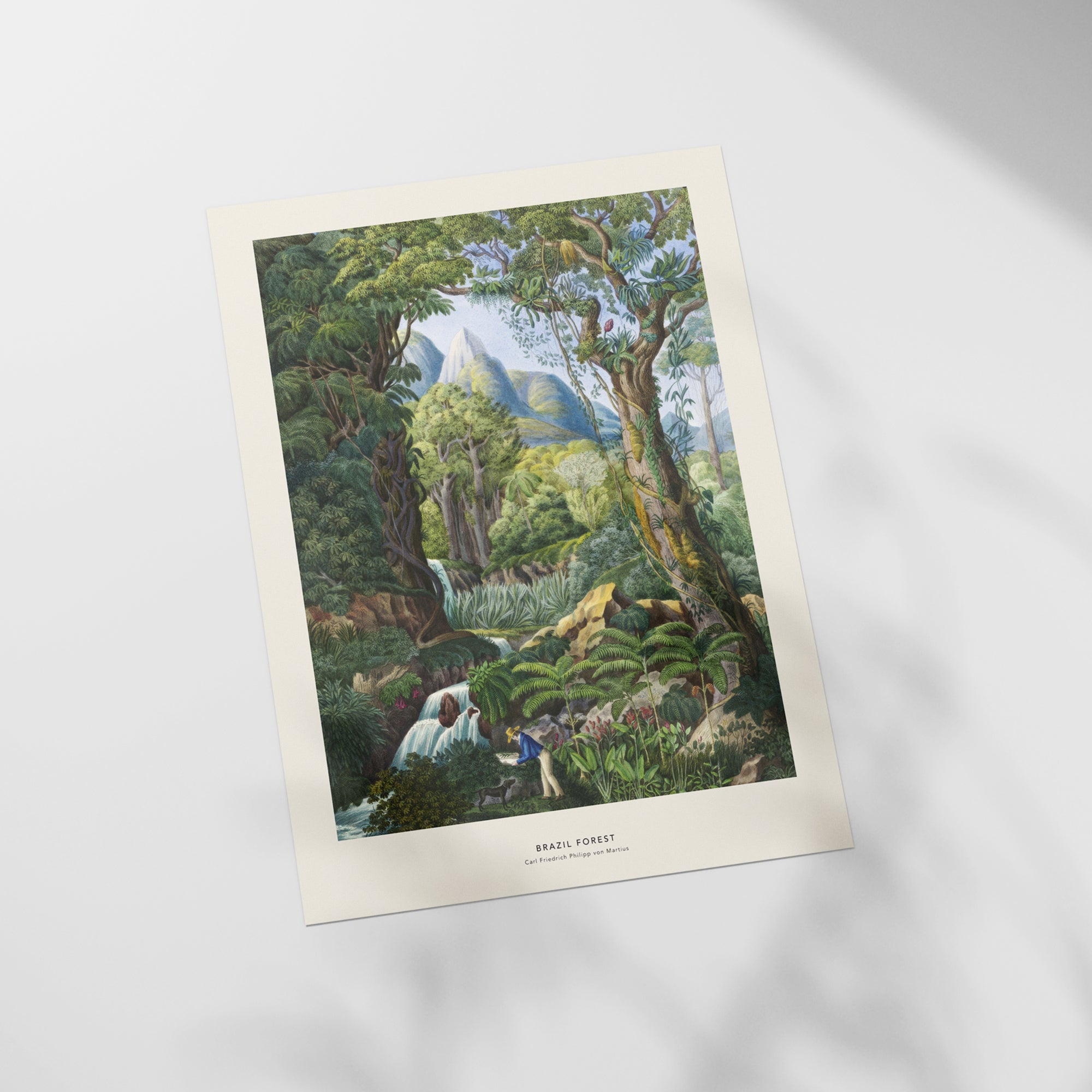 a picture of a painting of a forest