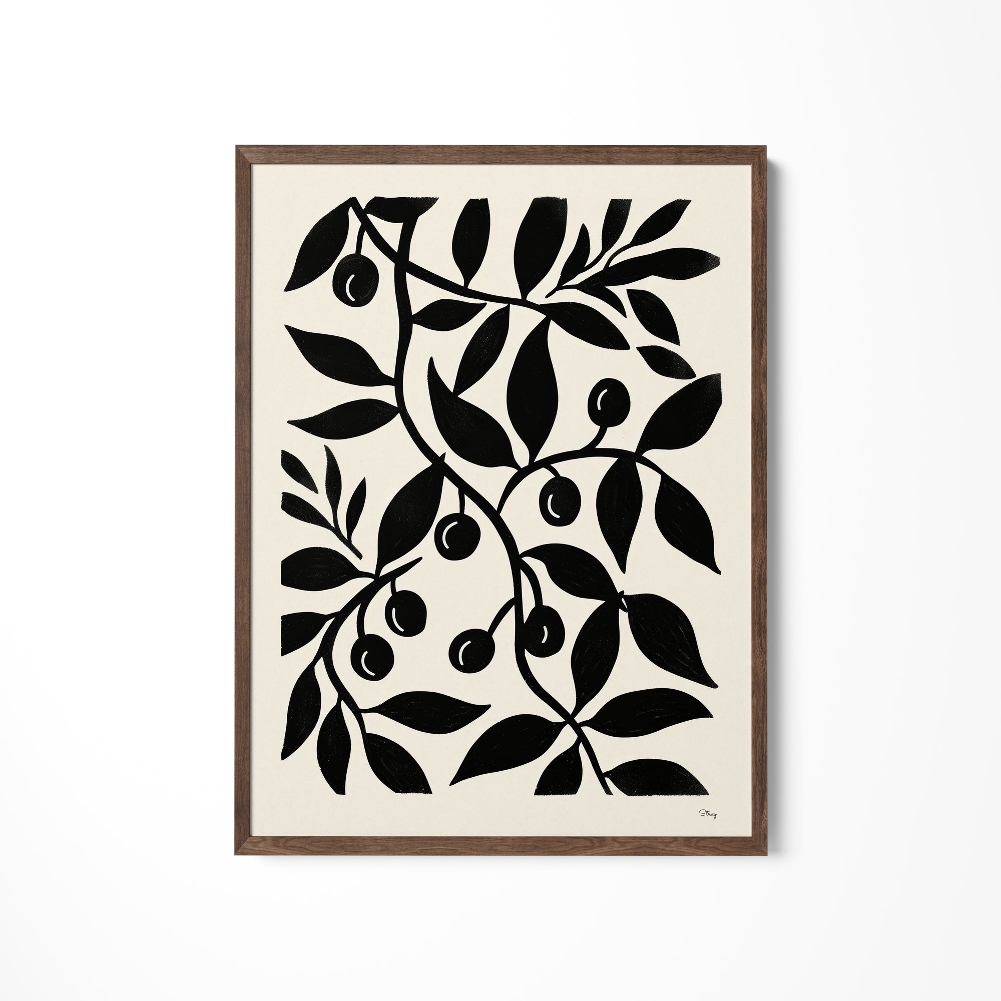 a black and white picture of an olive tree