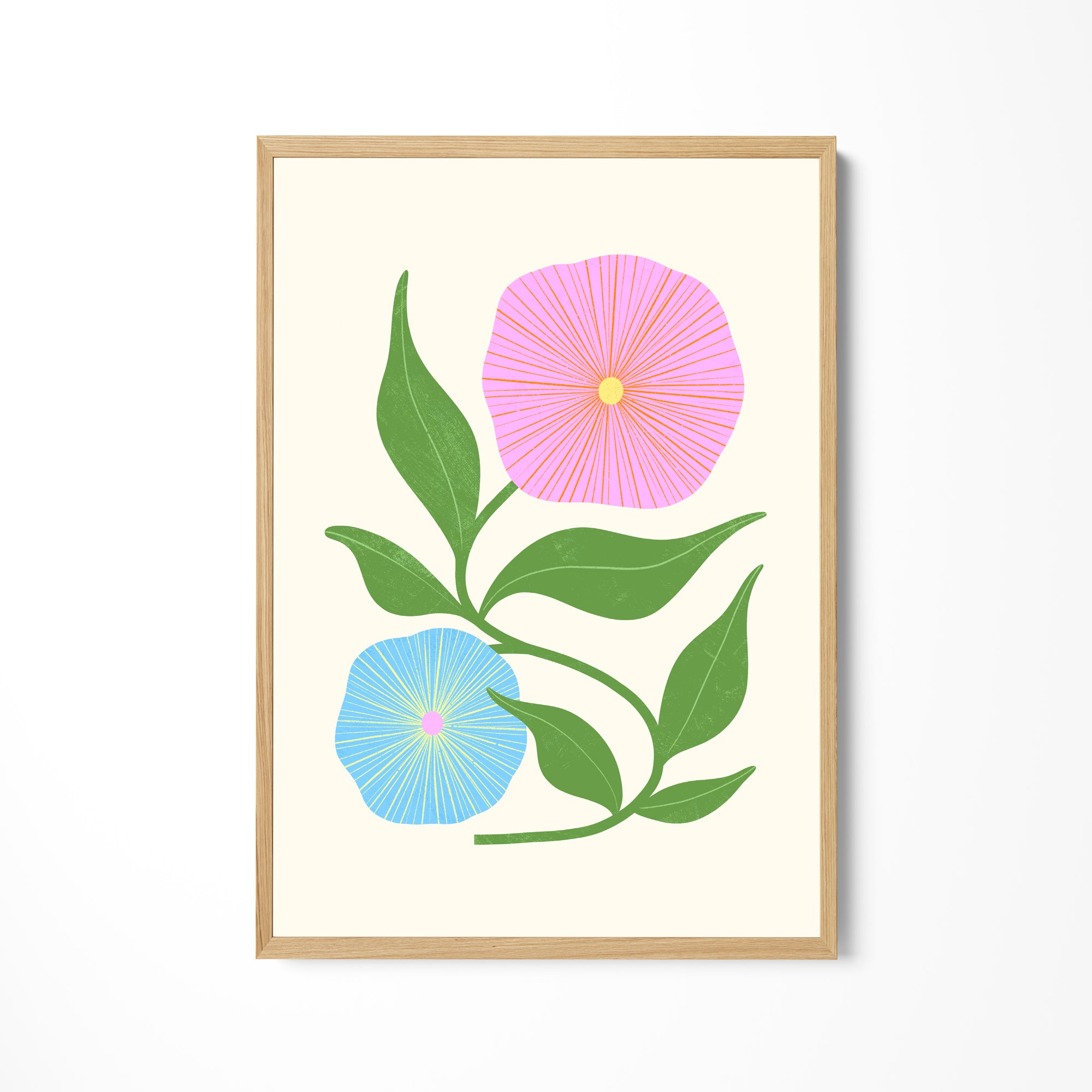 a pink and blue flower on a white background