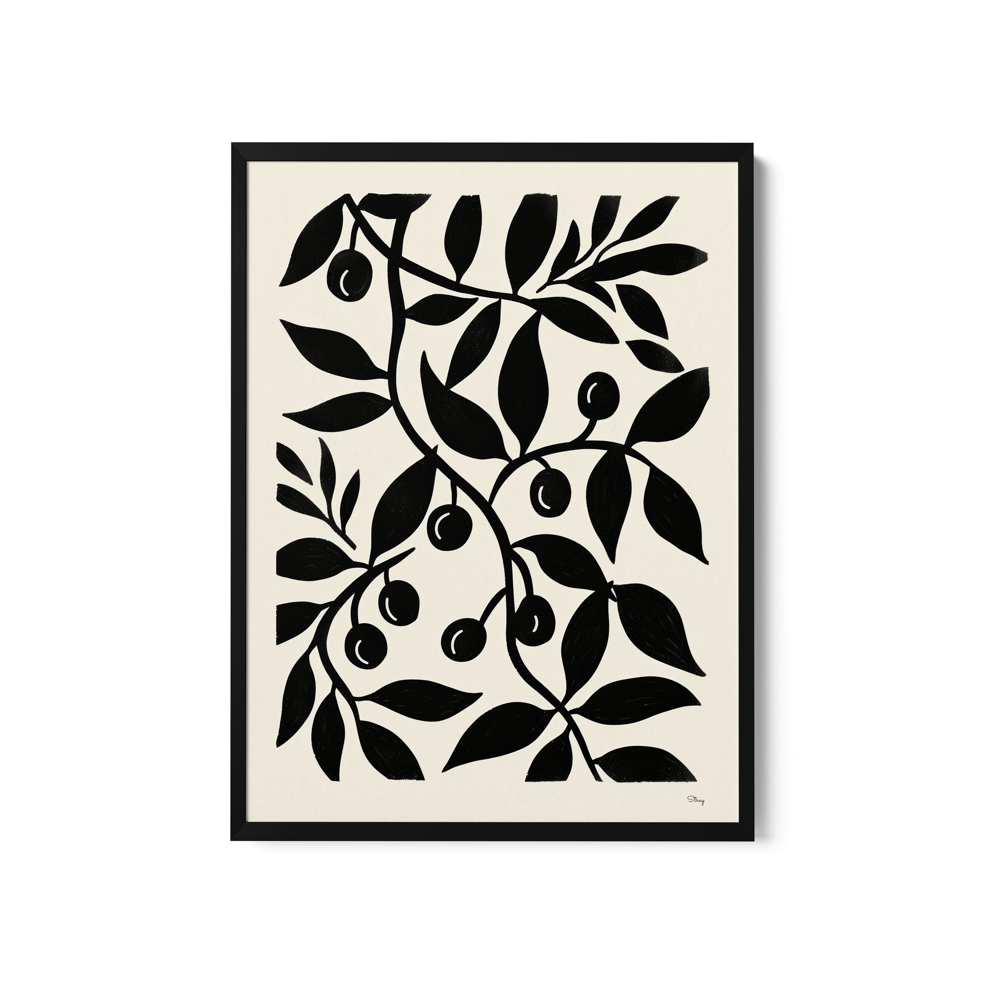a black and white picture of an olive tree