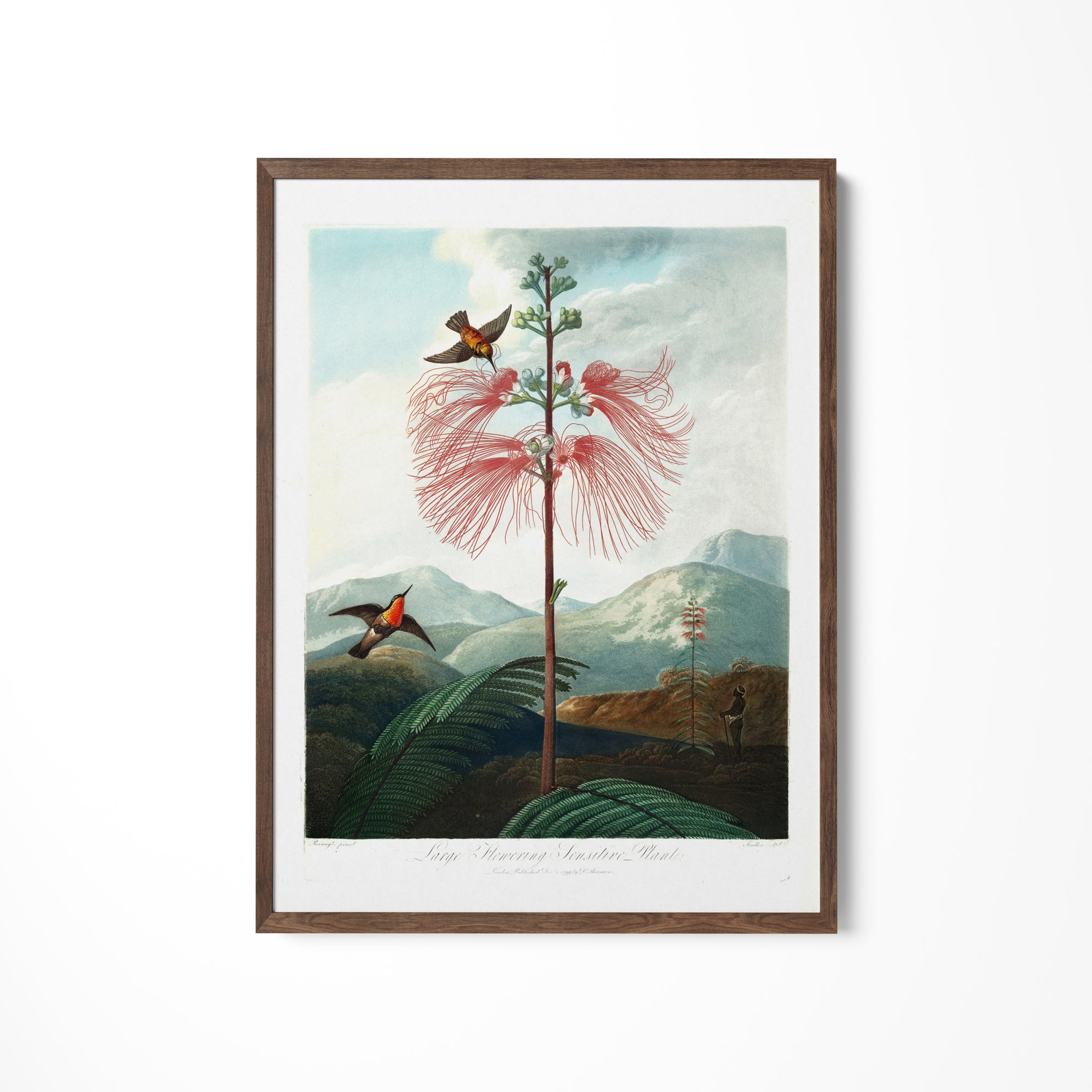 a painting of a bird sitting on top of a tree