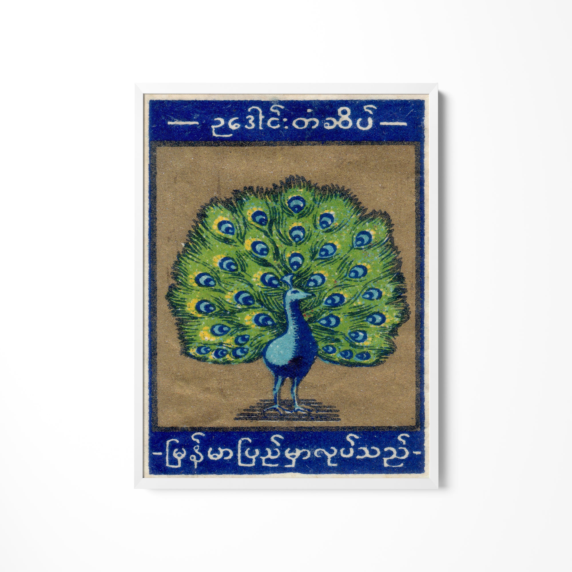 a painting of a peacock on a white wall