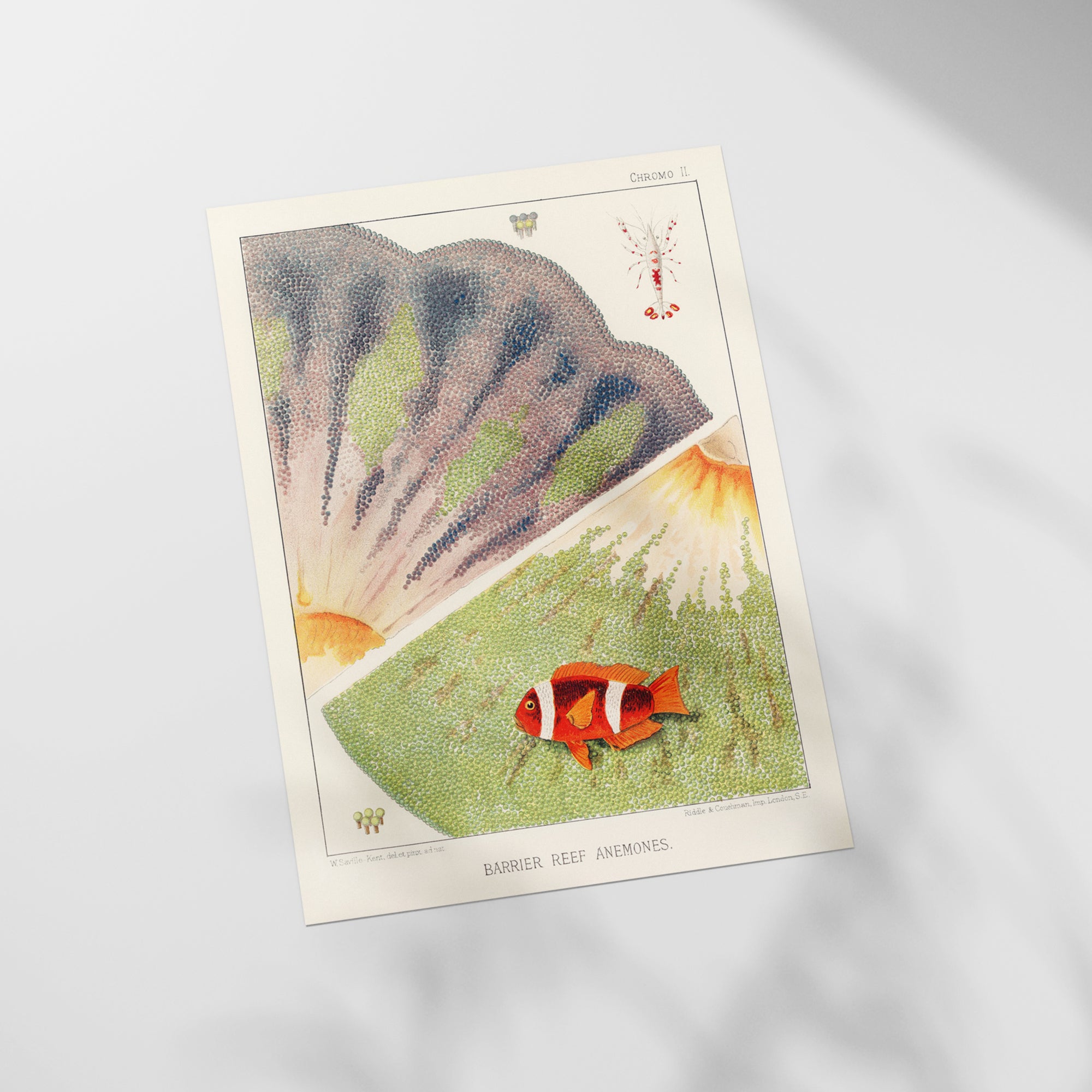 a card with a picture of a fish on it