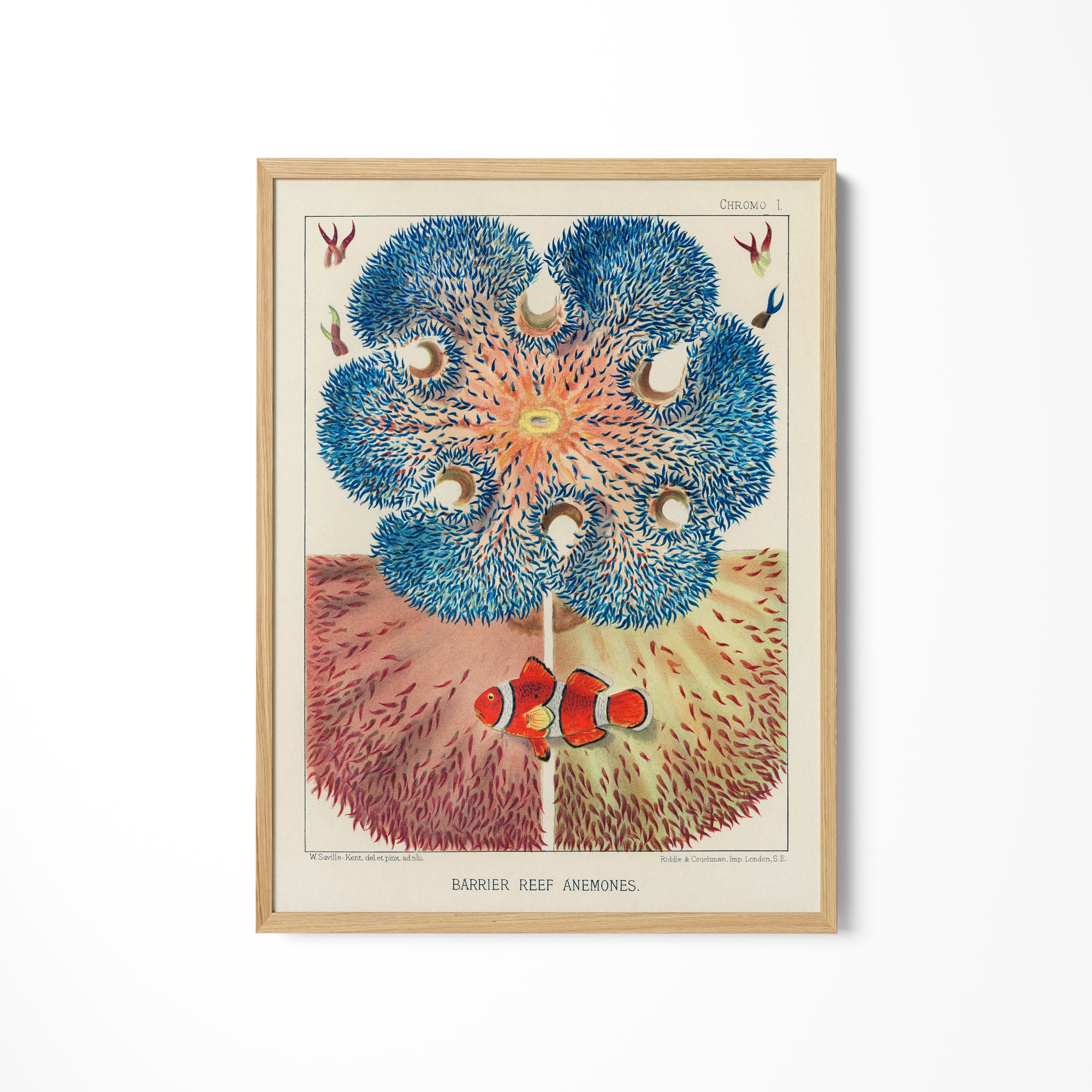 a picture of a blue flower on a white wall