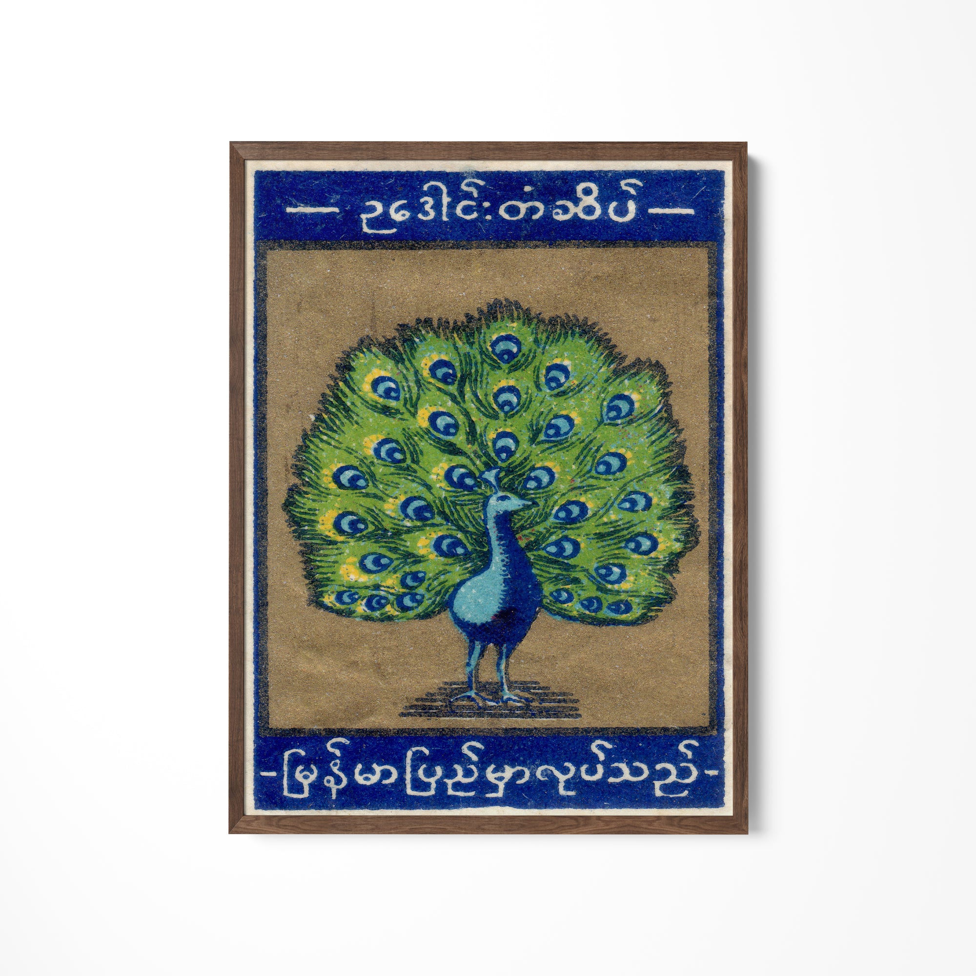 a painting of a peacock on a white wall