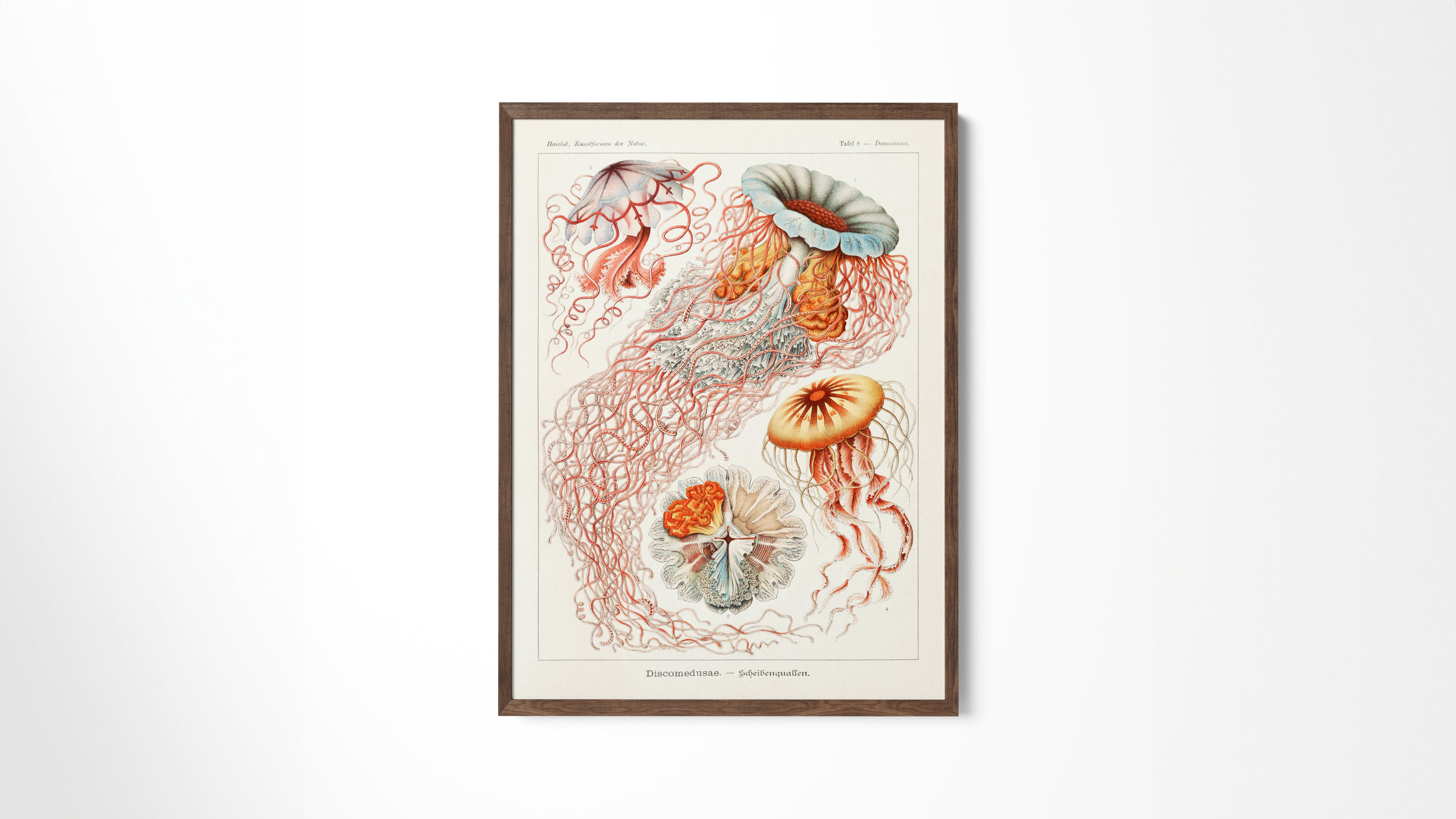 Office Art Prints – Stray Studio