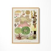 a painting of a variety of plants on a white wall