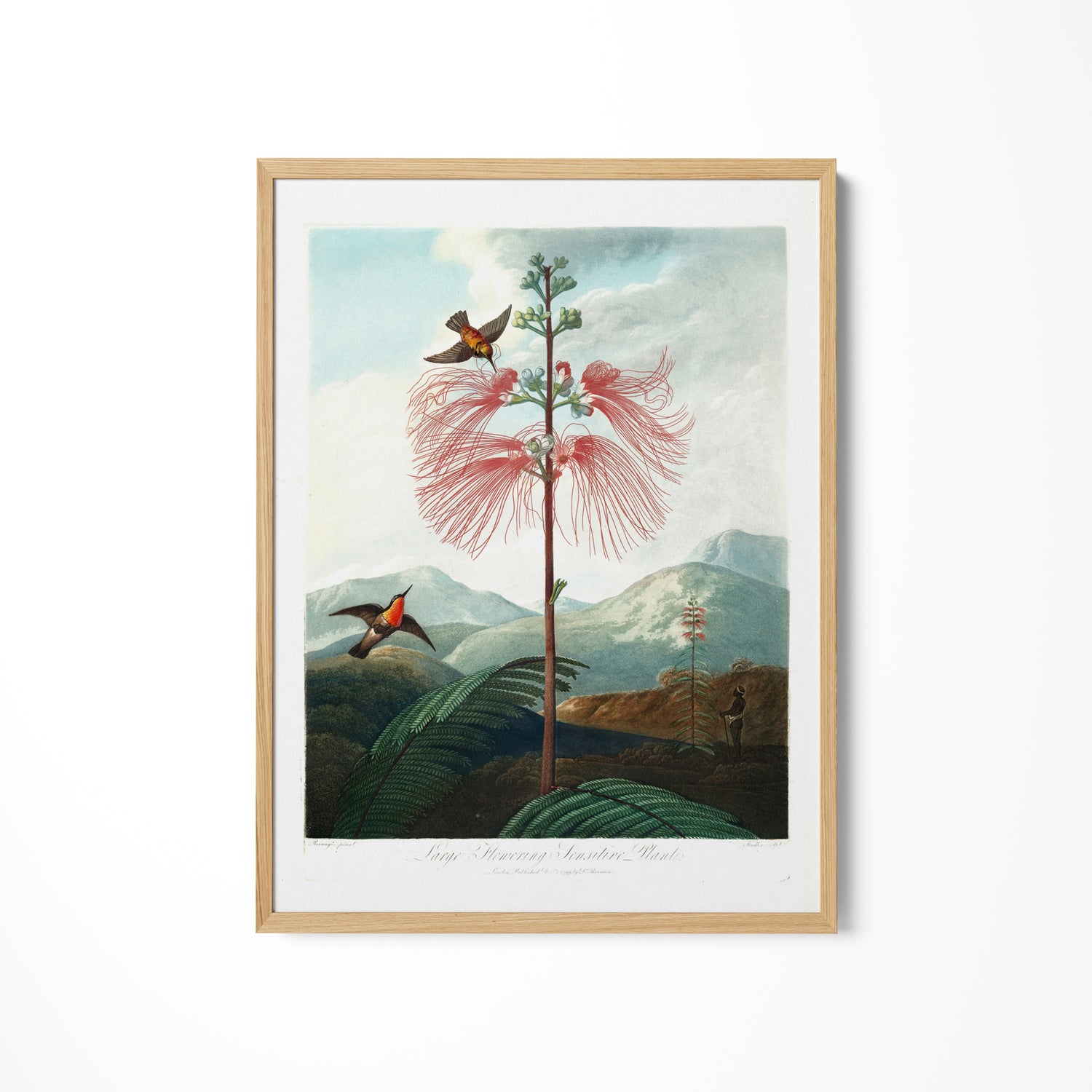a painting of a pink flower with two birds on it