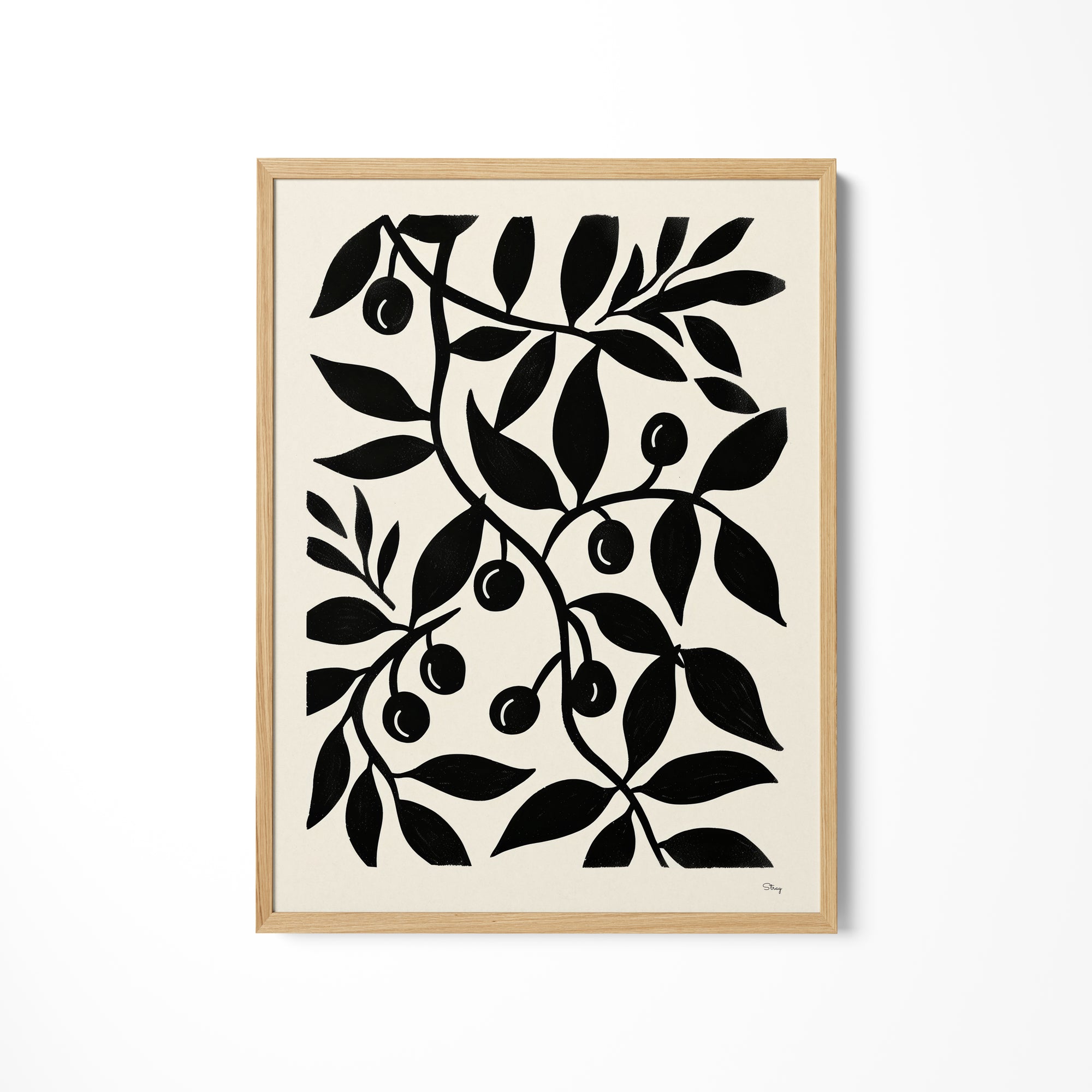 a black and white picture of an olive tree