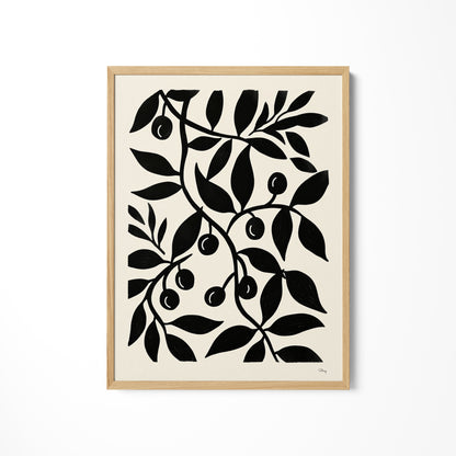 a black and white picture of an olive tree
