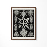 a black and white drawing of a snowflake