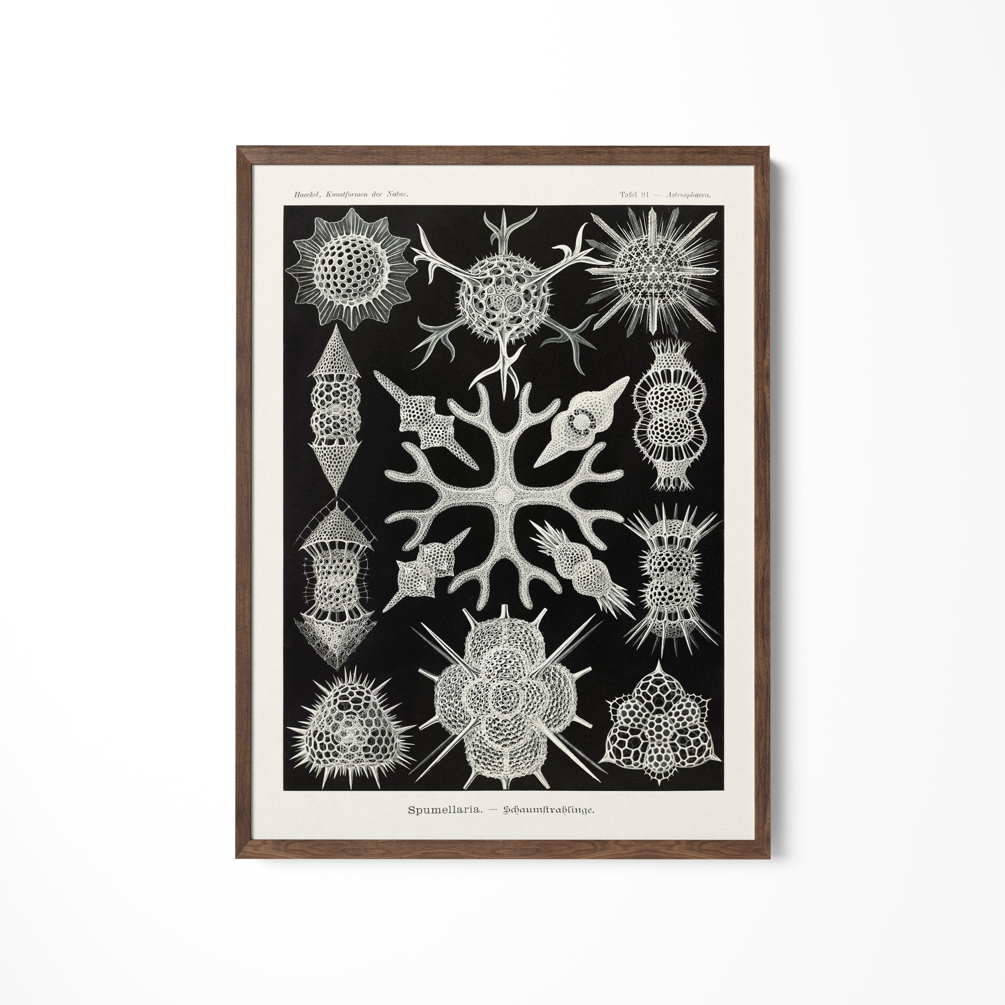 a black and white drawing of a snowflake