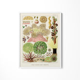 a painting of a variety of plants on a white wall