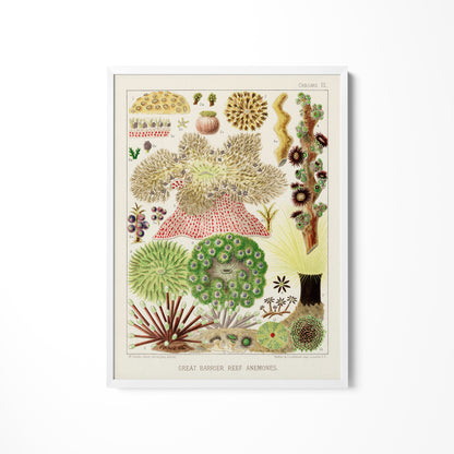 a painting of a variety of plants on a white wall
