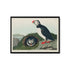 a picture of a bird sitting on top of a rock