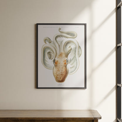 a picture of an octopus hanging on a wall