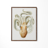 a painting of an octopus on a white wall