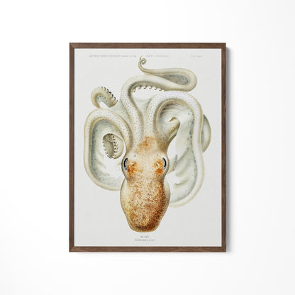 a painting of an octopus on a white wall