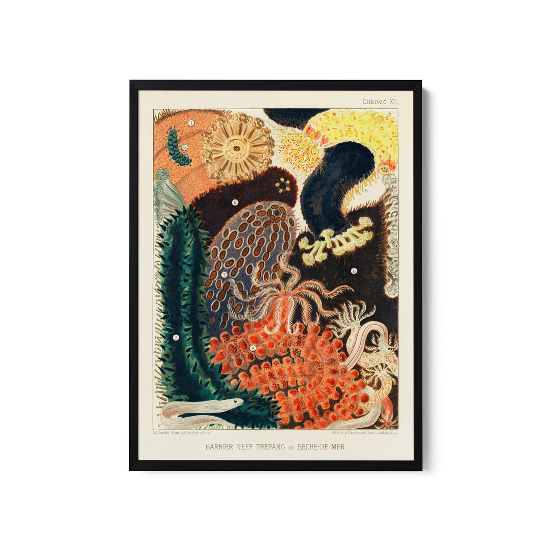 a painting of a bird and flowers on a white background