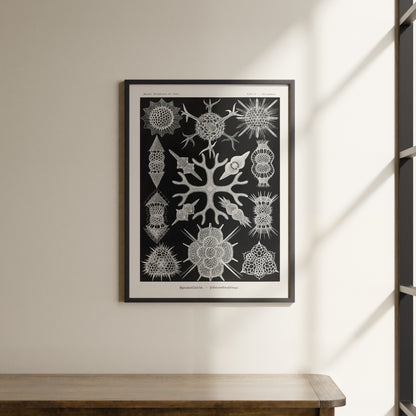 a black and white picture hanging on a wall