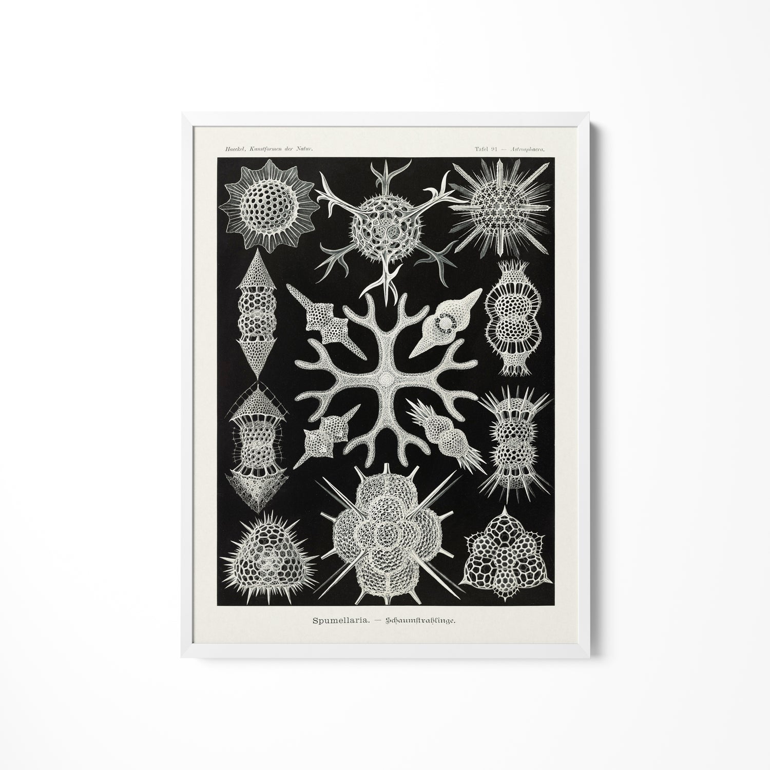 a black and white drawing of a snowflake