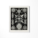 a black and white drawing of a snowflake