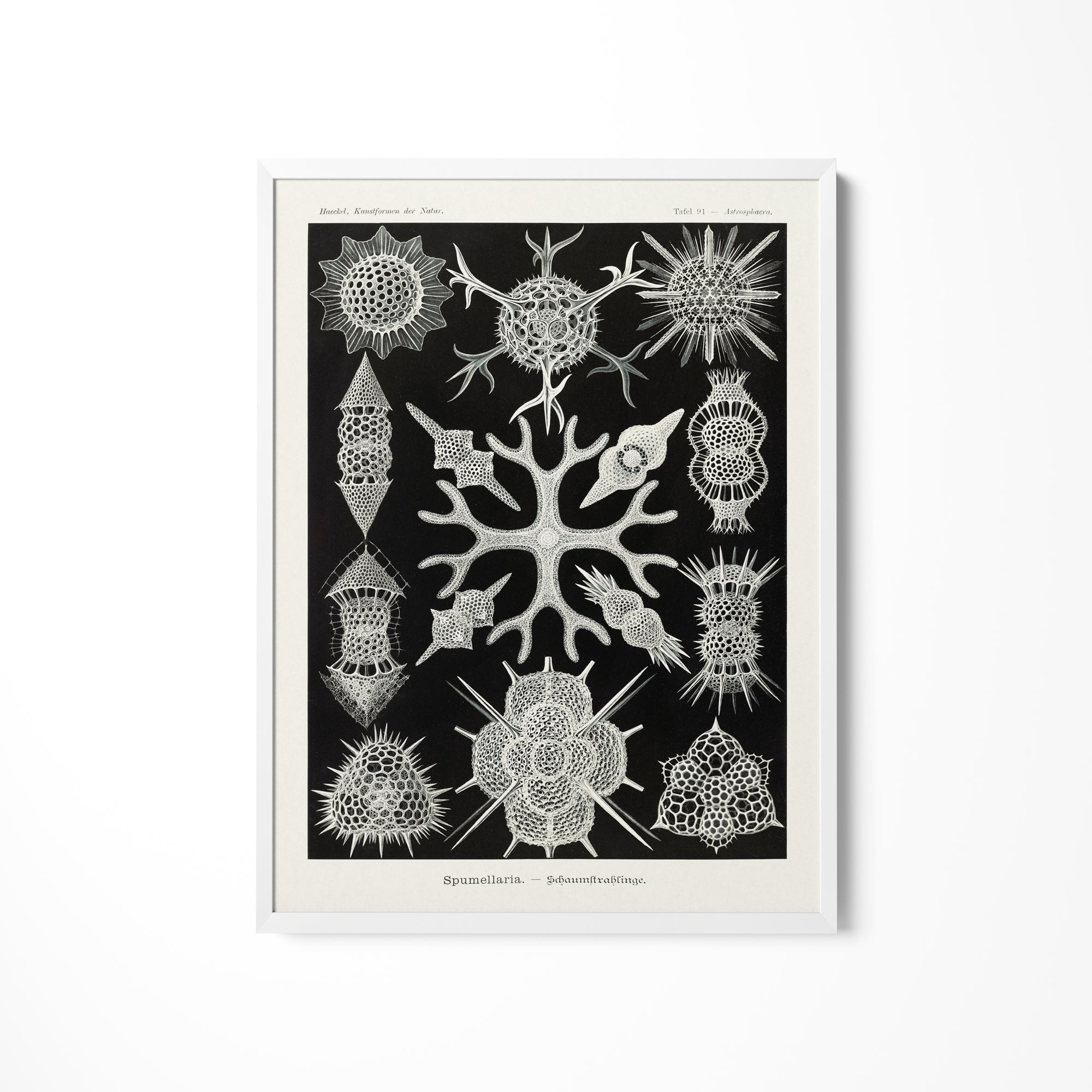 a black and white drawing of a snowflake