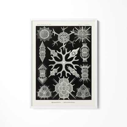 a black and white drawing of a snowflake