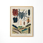 a picture of an octopus on a white wall