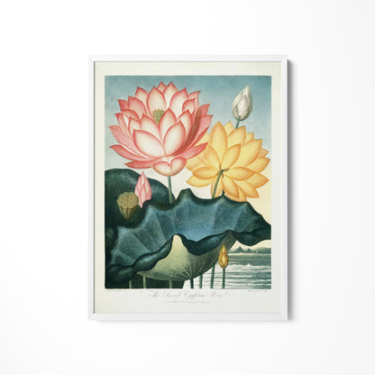 a painting of water lilies on a white wall