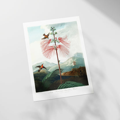a picture of a bird flying over a flower